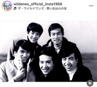 ザ・ワイルドワンズのインスタグラム＠wildones_official_insta1966より