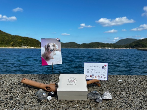 遺骨が奈留島に到着した時にも写真を飼い主に送信