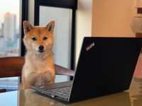 お仕事中（？）キリッ（画像提供／おまめさん）