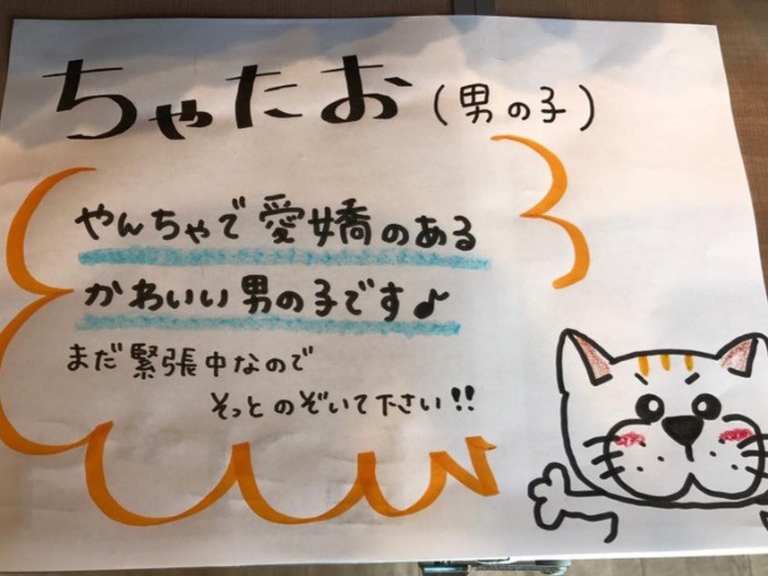 goens提供　譲渡会で貼られた但し書き