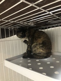 警戒心ダダ漏れだったお迎え初日