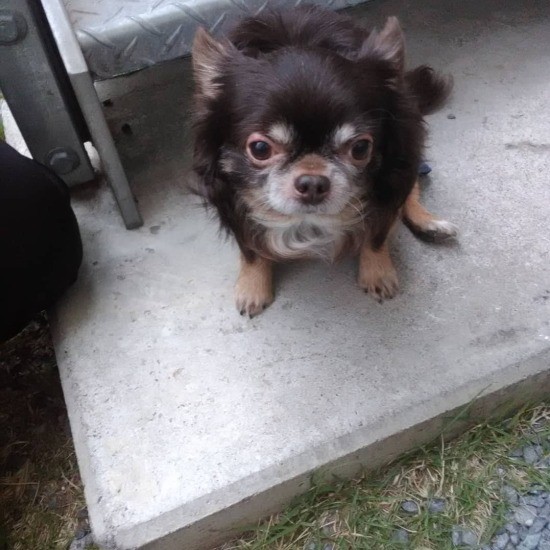 古都美さんがいた会社に行き、大好きな人たちに囲まれてお話ししてもらった。みんなの話をよく聞いていたイネーバくん（古都美さん提供）