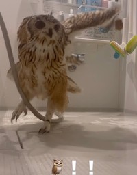 ホースが引っかかってるよ！（提供：@mozmoz0704さん）
