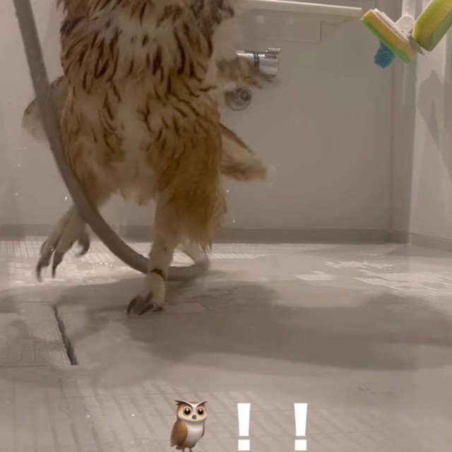 ホースが引っかかってるよ！（提供：@mozmoz0704さん）
