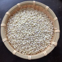 ブーム到来中？今までの麦とは一味違う「もち麦とは」？