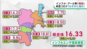 インフルエンザ・プール熱は増加　新型コロナは減少　宮城県