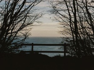 「かわいい」への強すぎるスポットが、それ以外の私を隠してしまう