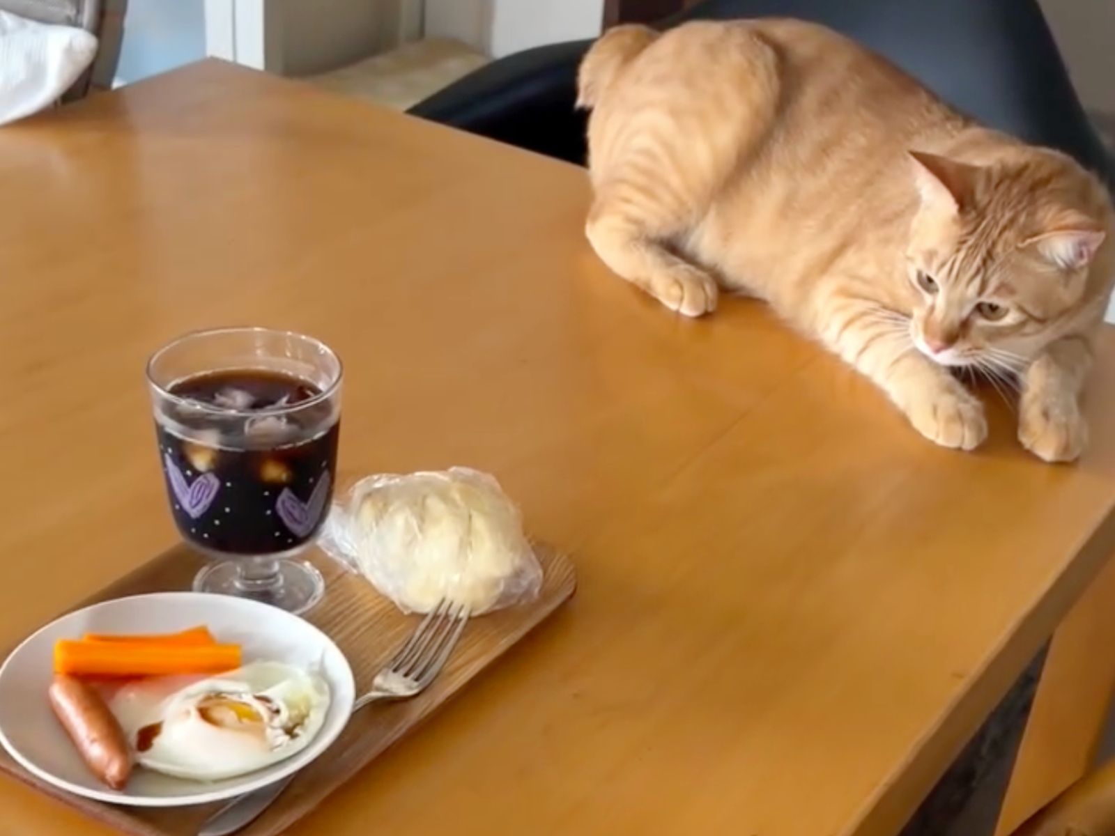 毎日開催】朝ごはんの“丸パン”で突然サッカー開始!? 保護猫ソラちゃん