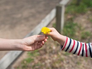 生前贈与を考えたら　相談すべきは弁護士？税理士？