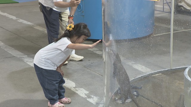 オープンから1カ月　市場水族館にぎわう　漁師からプレゼントされた新しい魚も仲間入り　香川