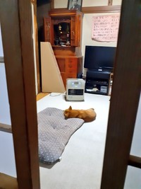 完全なる無防備（動画よりキャプチャ、画像提供：inosemarineさん）