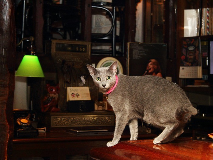 クールな見た目によらず、かなりの接客上手