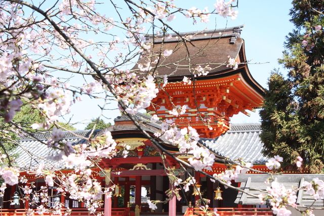 プレゼント】2026年春の京都非公開文化財特別公開のご招待券を50名様に
