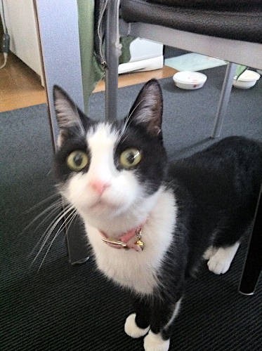 長いひげもチャームポイント