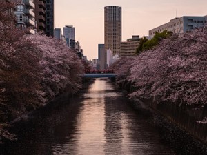 分岐点。両親の離婚後、折りの合わない母についていくことを決めた