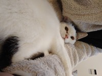 大きくなったよ〜