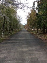 熊は「人間が捨てたゴミ」も「人間の一部」であり「人間＝動くエサ」だと認識してしまうのだという（画像提供：すらたまさん）