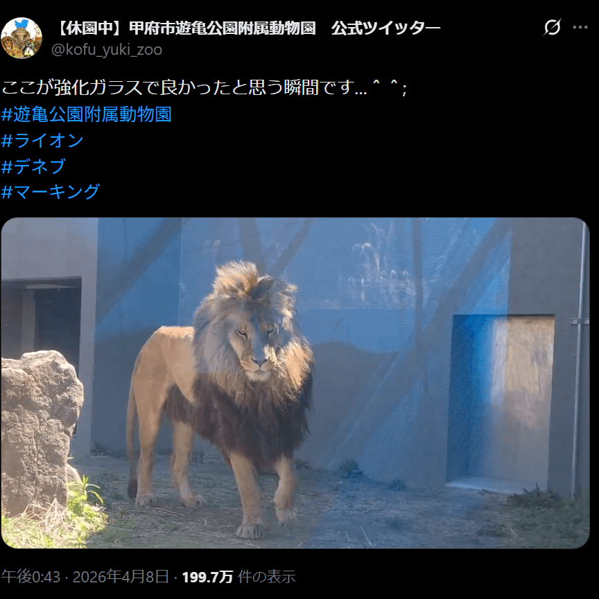 まさかの「洗礼」に驚き