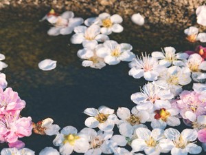 あの夜があったから、彼女が笑ってくれているならそれでいいと思えた