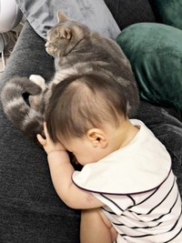 はまちくんに寄り添ってくつろぐ息子さん（画像提供：ごまちよ 0y(2024.07)さん）