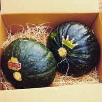 かぼちゃ専門農家です（阿部さん提供、ホームページよりキャプチャ撮影）