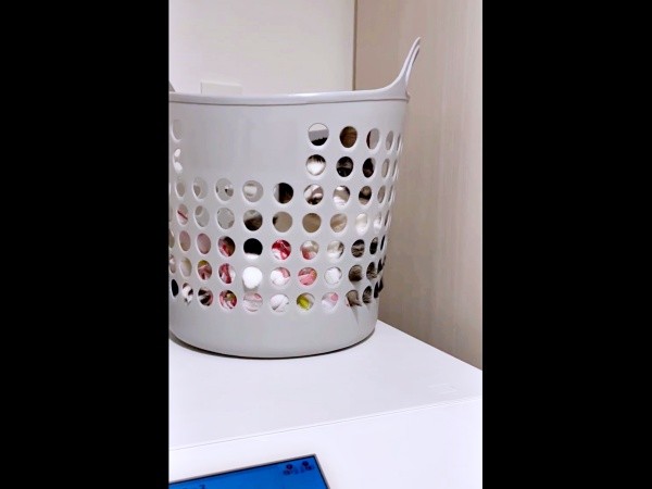 洗濯機の上に置かれたカゴ。何やら気配がーー（画像提供：ねこのそうちゃんですさん）