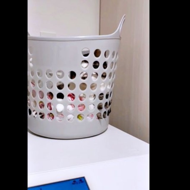 洗濯機の上に置かれたカゴ。何やら気配がーー（画像提供：ねこのそうちゃんですさん）