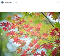 宮内庁インスタグラムから