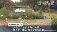 仙台市の公園でクマ目撃　地下鉄八木山動物公園駅にも近い住宅地