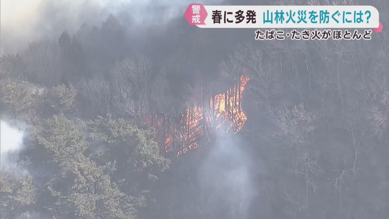 山火事を防ぐためには？　宮城県の担当者に話を聞く「１人１人が自覚を」