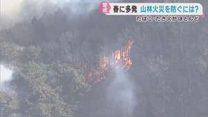 山火事を防ぐためには？　宮城県の担当者に話を聞く「１人１人が自覚を」