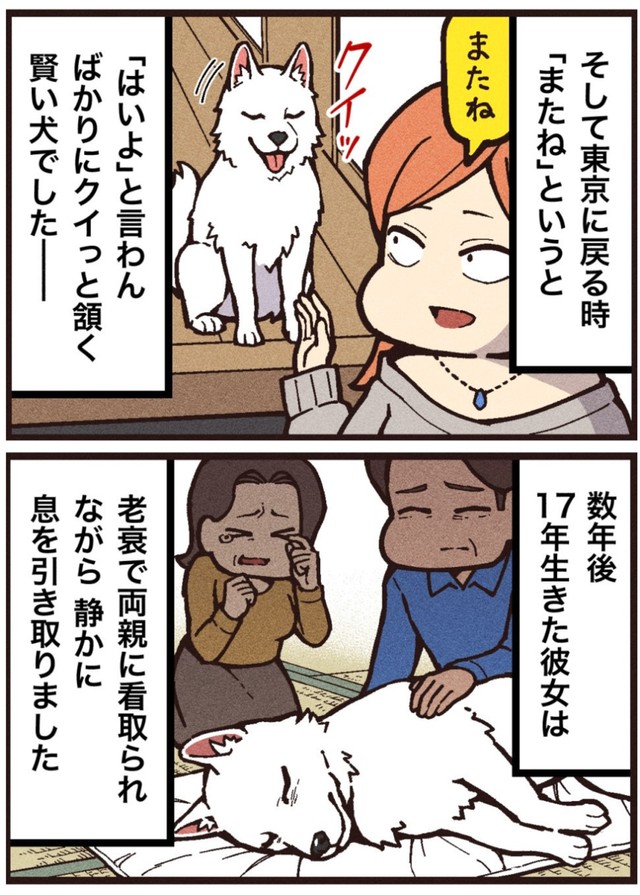 【漫画】『シロという名の犬』3（大友しゅうまさん提供）