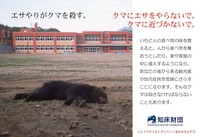 なぜ野生のクマにエサを与えてはいけないのか？「ソーセージの悲劇」を繰り返さないで（画像提供：公益財団法人 知床財団）