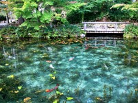 関市板取にある名もなき池、通称：モネの池。モネの代表作「睡蓮」のように美しいことから関市の観光名所の一つに