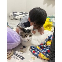 初めて猫吸いをした四男くんの感想『ちあわせ〜〜〜〜』！ちょっと緊張の面持ちな猫さんも可愛い（画像提供：ゴンゾウR4さん）