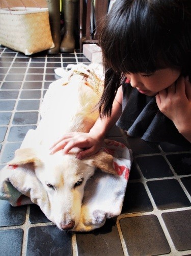 「はなは今、一生懸命がんばってるの」と、葵ちゃん