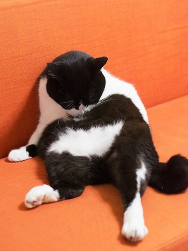 「清潔な僕は白いパンツなんだ」（小林写函撮影）