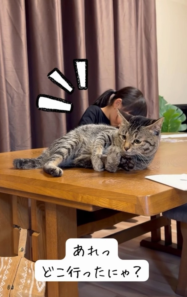 あれっ、どこ行ったにゃ？（「yuka.yu.mugi」さん提供、Instagramよりキャプチャ撮影）