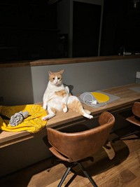 まるで小さな人間!? 帰宅した飼い主さんを見つめるぽーちゃん（画像提供：ぽーの呟き…ときどきテトさん）