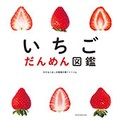 「いちご だんめん図鑑」　旬到来！食べ比べのお供にしたい