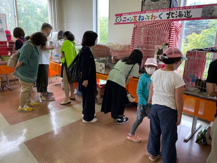 特定非営利活動法人「ニャン友ねっとわーく北海道」。2021年は600頭以上の猫を保護。広大な北海道でネットワークを構築し、保護活動や啓発活動をしている