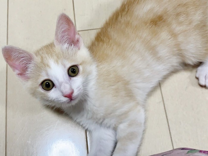 少し大人っぽくなったね