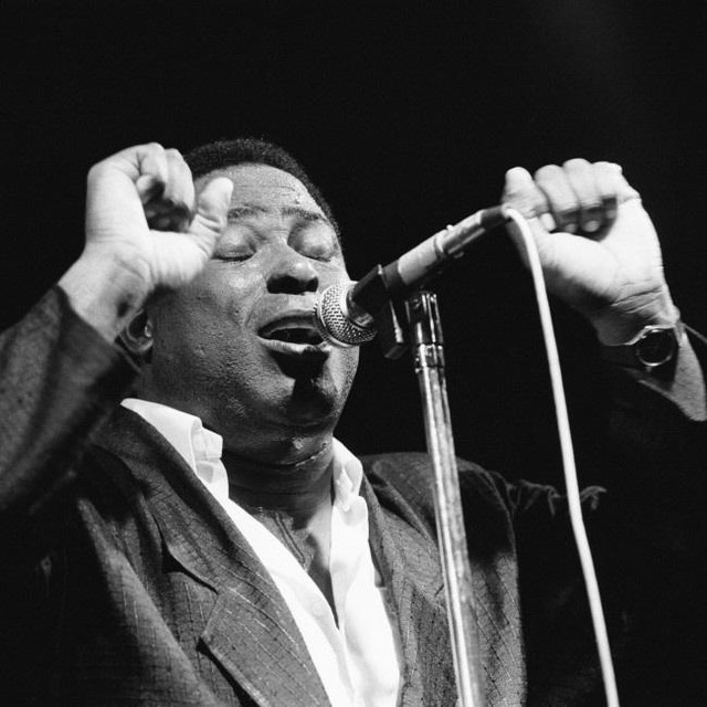 　ジミー・ジェイムスさん