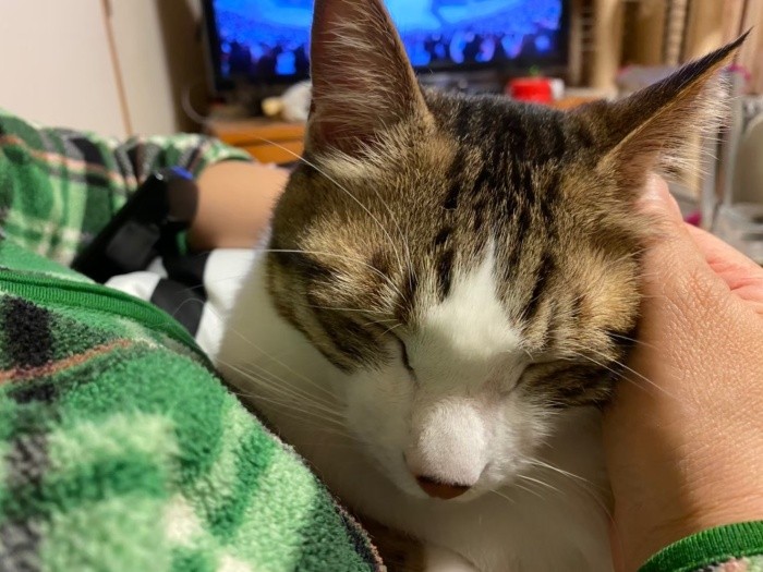 妻に抱っこされ、恍惚（こうこつ）の表情