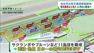 防災集団施設跡地の観光農園を倍に拡大　沿岸部の新たな魅力発信を　仙台・荒浜地区
