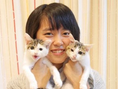 女子中学生が猫の預かりボランティア「保護猫のこと伝えたい」