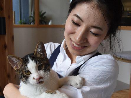 保護猫と出会えるキャットルームとカフェ、動物病院が併設