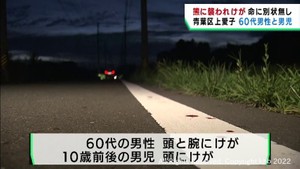 仙台市青葉区で６０代男性と１０歳前後の男の子が熊に襲われけが　命に別状は無し