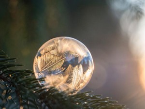 次元が違う感性の鋭さと心地よい寒さが私に刺さる、冬の「つとめて」