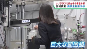 宮城農業高校の生徒がナノテラスで仙台牛を分析　仙台牛の口当たりの良さを確認